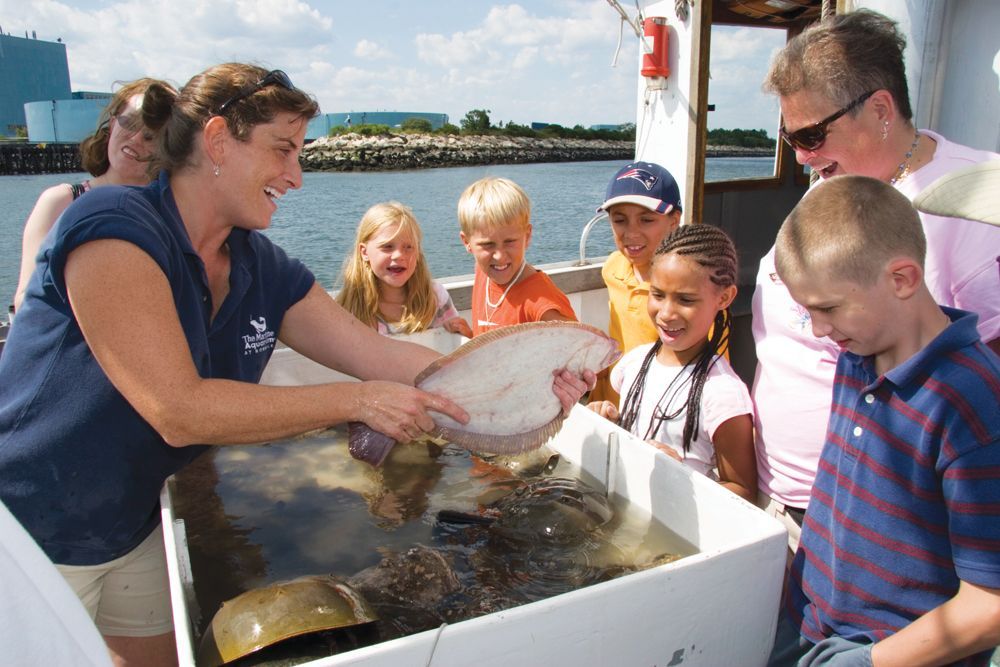 Photo courtesy The Maritime Aquarium at Norwalk Creature Cruise at Maritime Aquarium CT