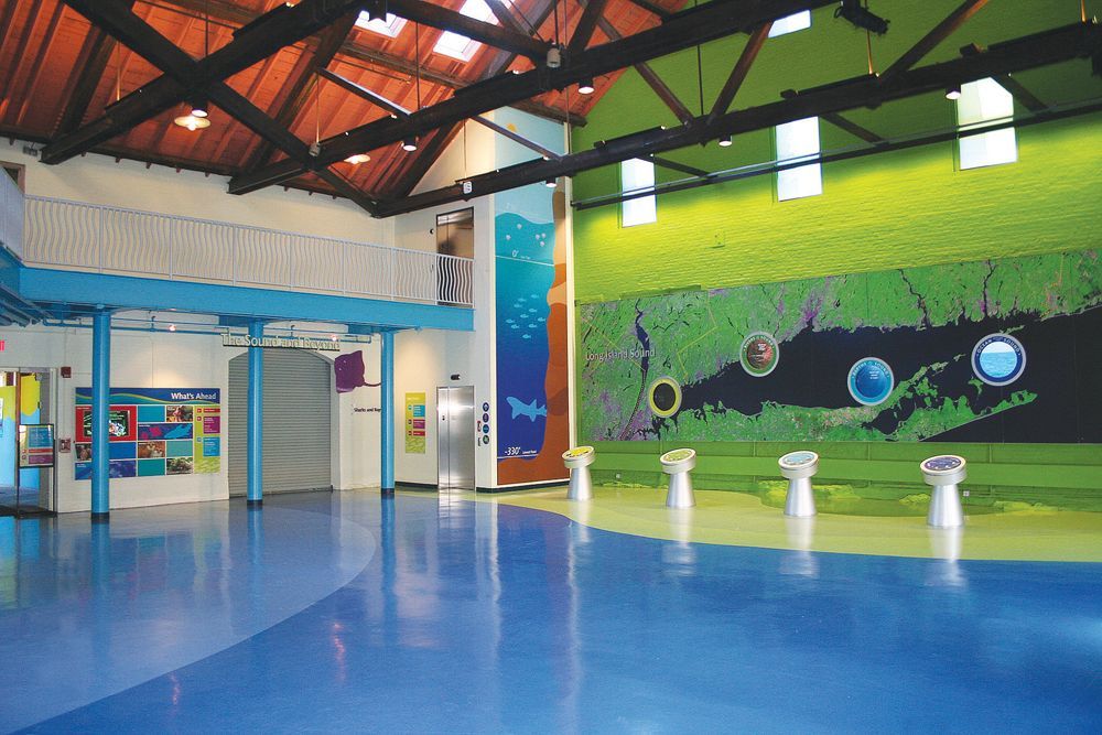 Photo courtesy The Maritime Aquarium at Norwalk Maritime Aquarium at Norwalk CT