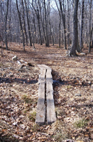 amphibian walk by Norwalk River Watershed Association
