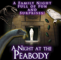 A Night at the Museum