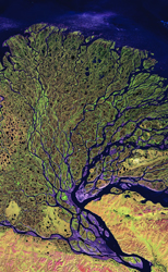 View Earth from space at the Stamford Museum and Nature Center this month. view of earth from space
