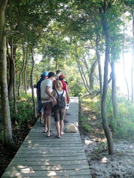 Take a stroll with the family in Fire Island's Sunken Forest. Fire Island