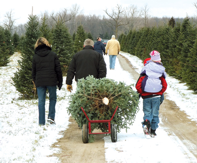 family taking home a Christmas tree
