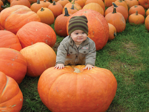 baby in pumpkin patch