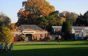 Wave Hill in the fall