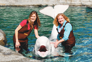 The Mystic Aquarium is a must-visit—stop in and say hello to one of the resident Beluga whales, the only creatures of their kind in the New England area. Mystic Aquarium