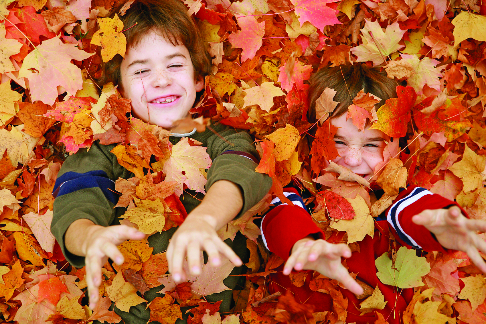 Two young boys laying down in a pile of autumn leaves