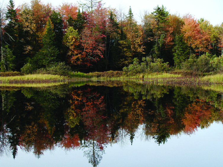 Autumn foliage in the Adirondacks