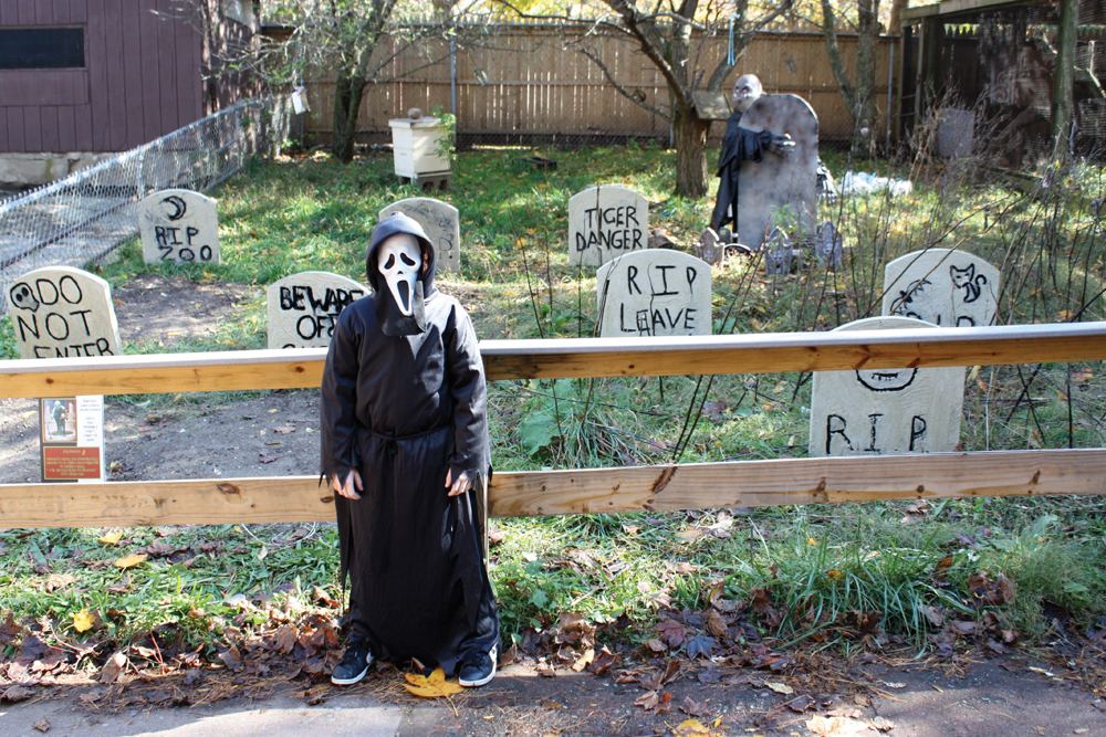 Halloween at Beardsley Zoo