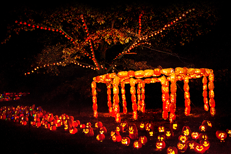 Best Halloween Events for Kids on Long Island, Nassau County (NY Metro