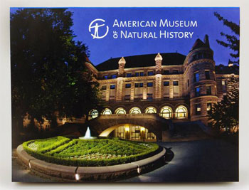 American Museum of Natural History