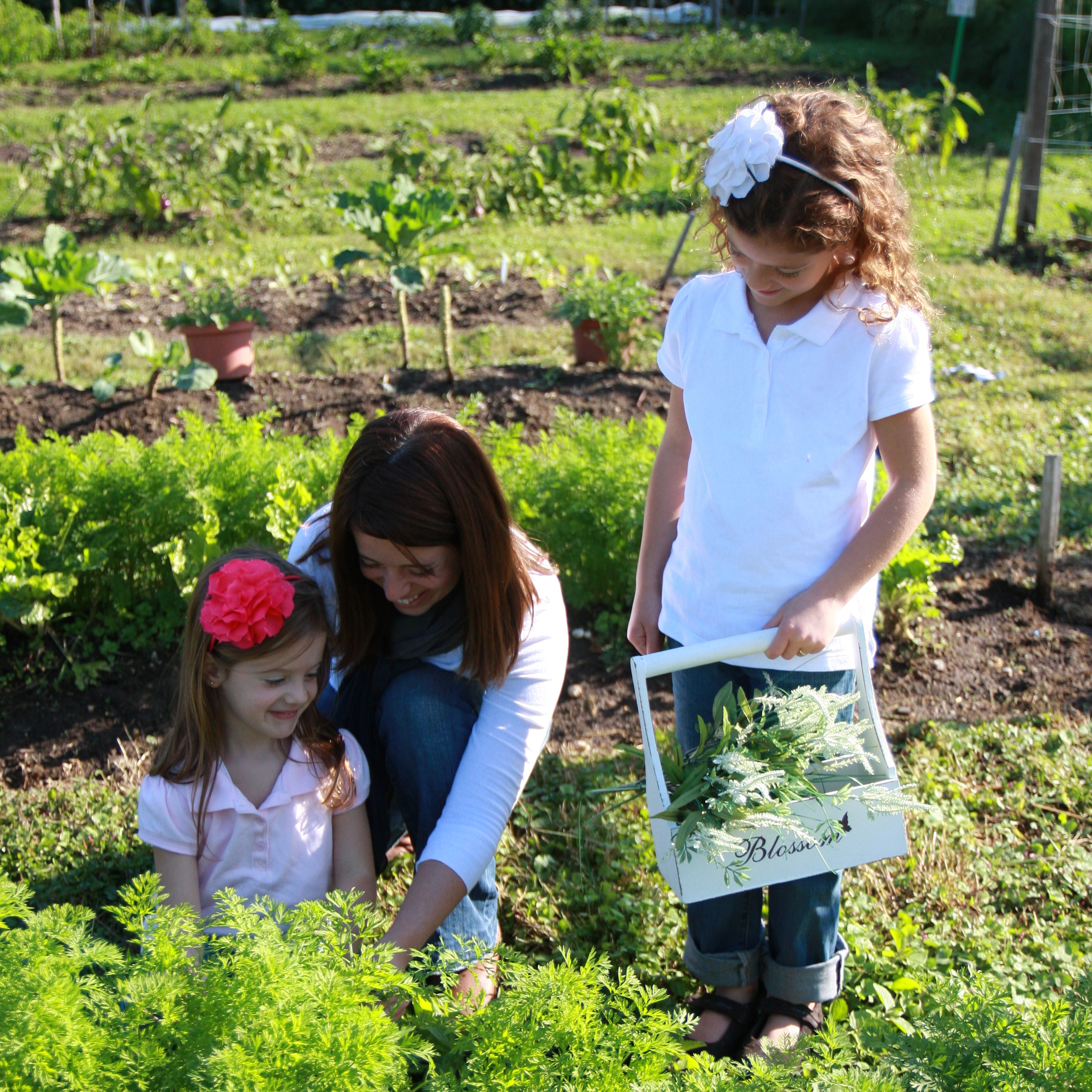 Courtesy Lisa Gatti Culinary Therapy founder Lisa Gatti picks carrots with her daughters in their vegetable garden.
