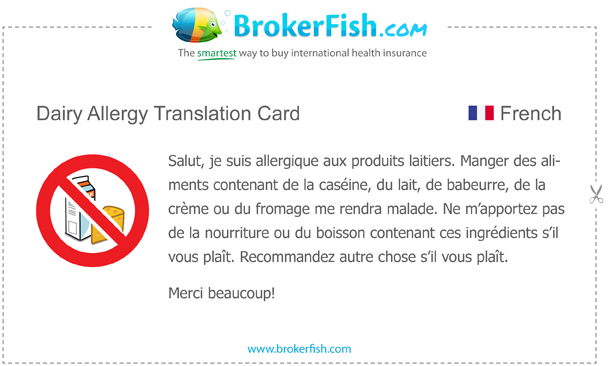 dairy allergy translation card french dairy allergy translation card french