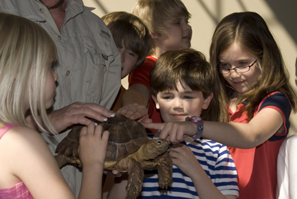Reptile Birthday Party on At A My Reptile Guys Brithday Party  Kids Interact With Live Reptiles