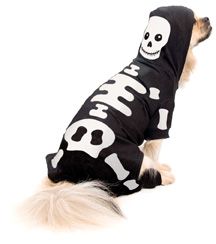 Martha Stewart Halloween Skeleton Pet Costume