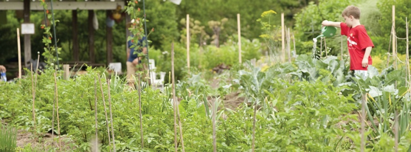 Ruth Rea Howell Family Garden