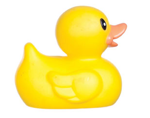 rubber duckie rubber duckie