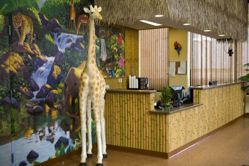 Courtesy PM Pediatrics jungle themed PM Pediatrics in Bayside