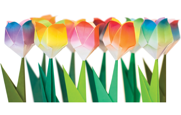 colorful paper flowers