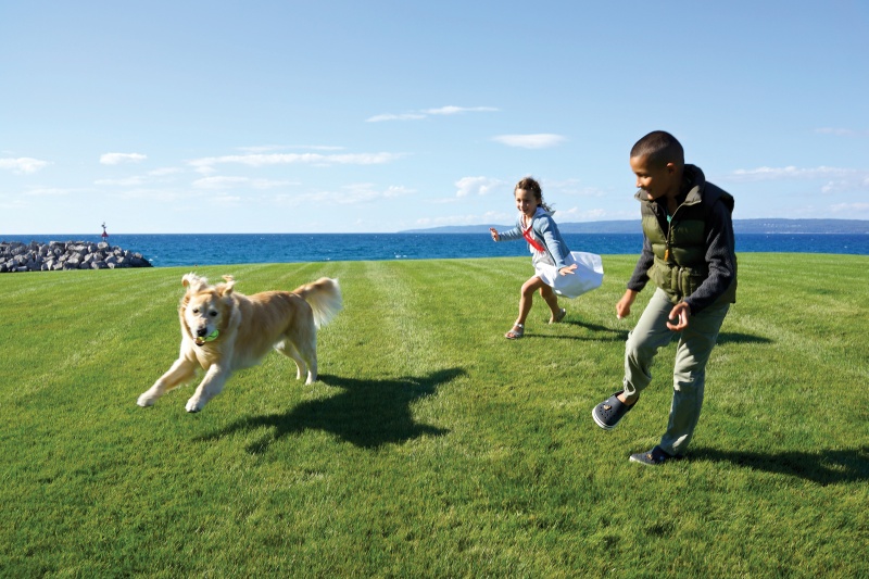 nigel barker son and daughter and dog