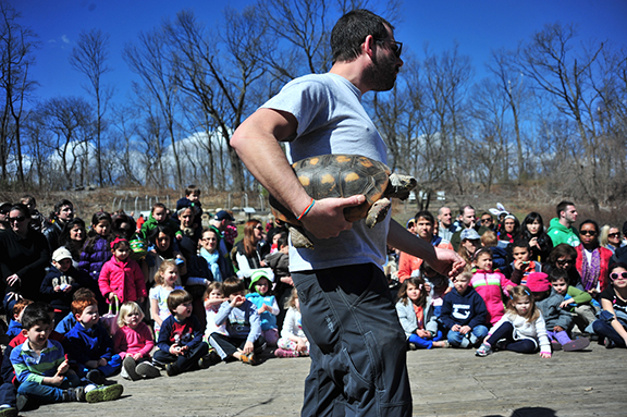 hurricane grill and wings hosts gnc naturlists greenburgh nature center naturlist with turtle
