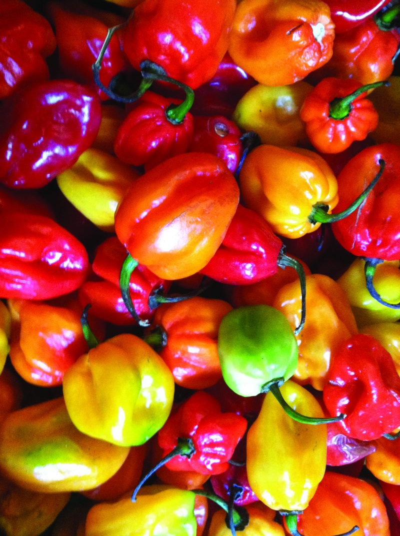 chili_peppers chili peppers