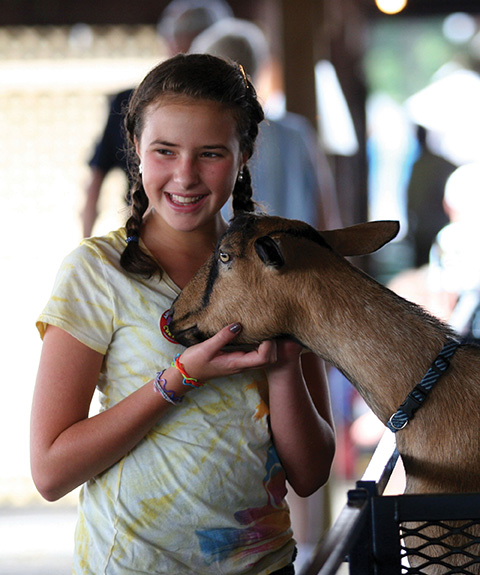 girl and goat at dutchess county fair girl and goat at dutchess county fair