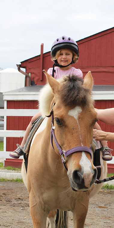 girl riding a horse girl riding a horsea