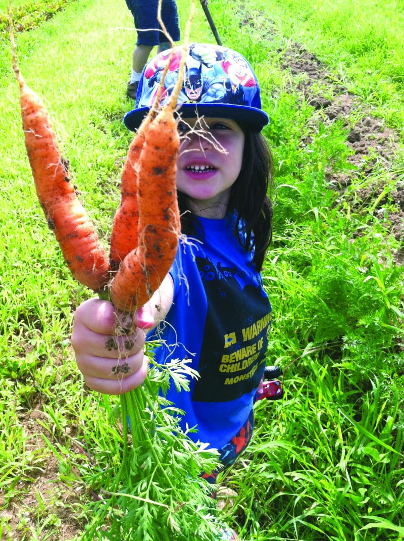community_farm community farm