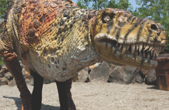 dinosaur dinosaur