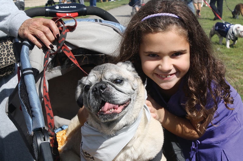 girl and dog at hounds on the sound girl and dog at hounds on the sound