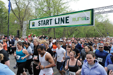 run for the wild 5k run for the wild 5k