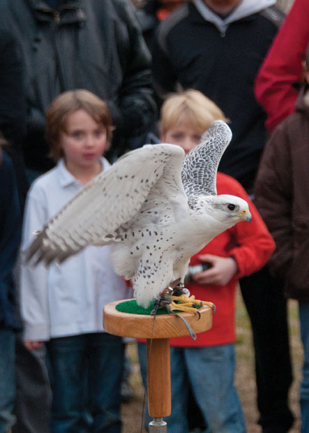 eaglefest at croton point park eaglefest at croton point park