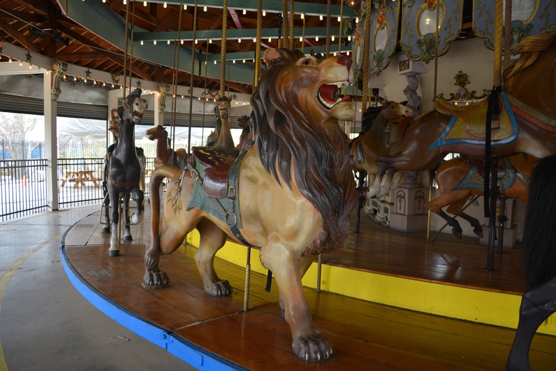 Courtesy New York Carousel lion on the forest park carousel