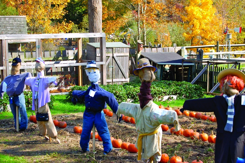 autumn_fair autumn fair