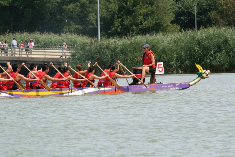 dragon boat festival dragon boat festival