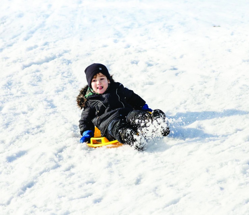 sled downhill sledding