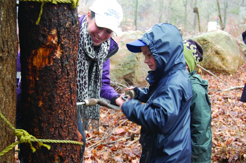 maple_sugaring maple sugaring