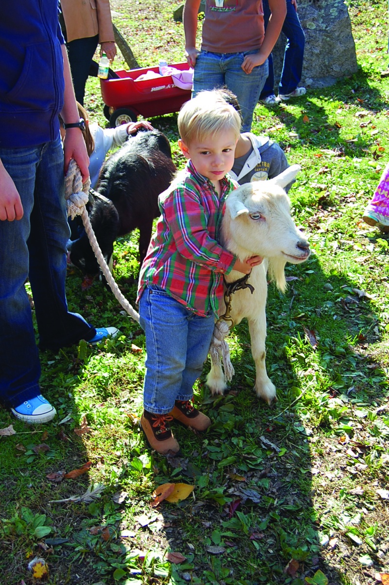 farm_fun fun farm
