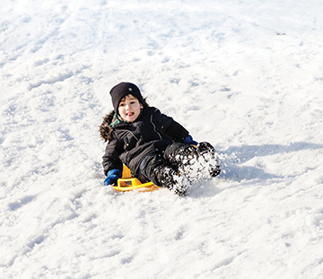 sldedding sledding