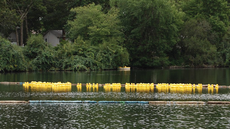Courtesy Camp Pa-Qua-Tuck one million dollar duck race